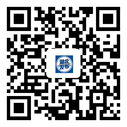 武汉新城规划.png 武汉新城规划.png
